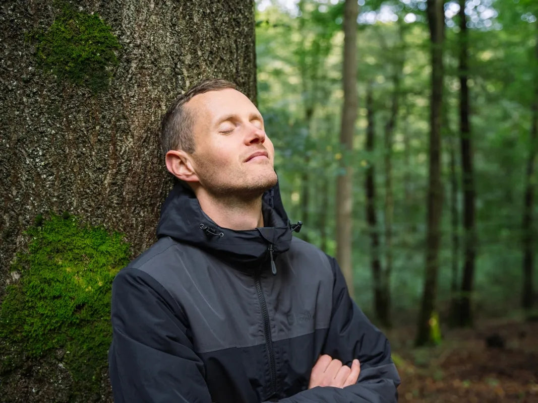 Ein Mann in schwarzer Jacke lehnt mit geschlossenen Augen an einem Baum, vertieft in Baumkommunikation und das friedliche Walderlebnis eines grünen Waldes, angeboten von Wohllebens Waldakademie.