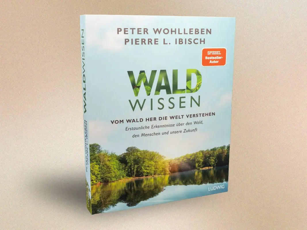 Waldwissen – Vom Wald her die Welt verstehen