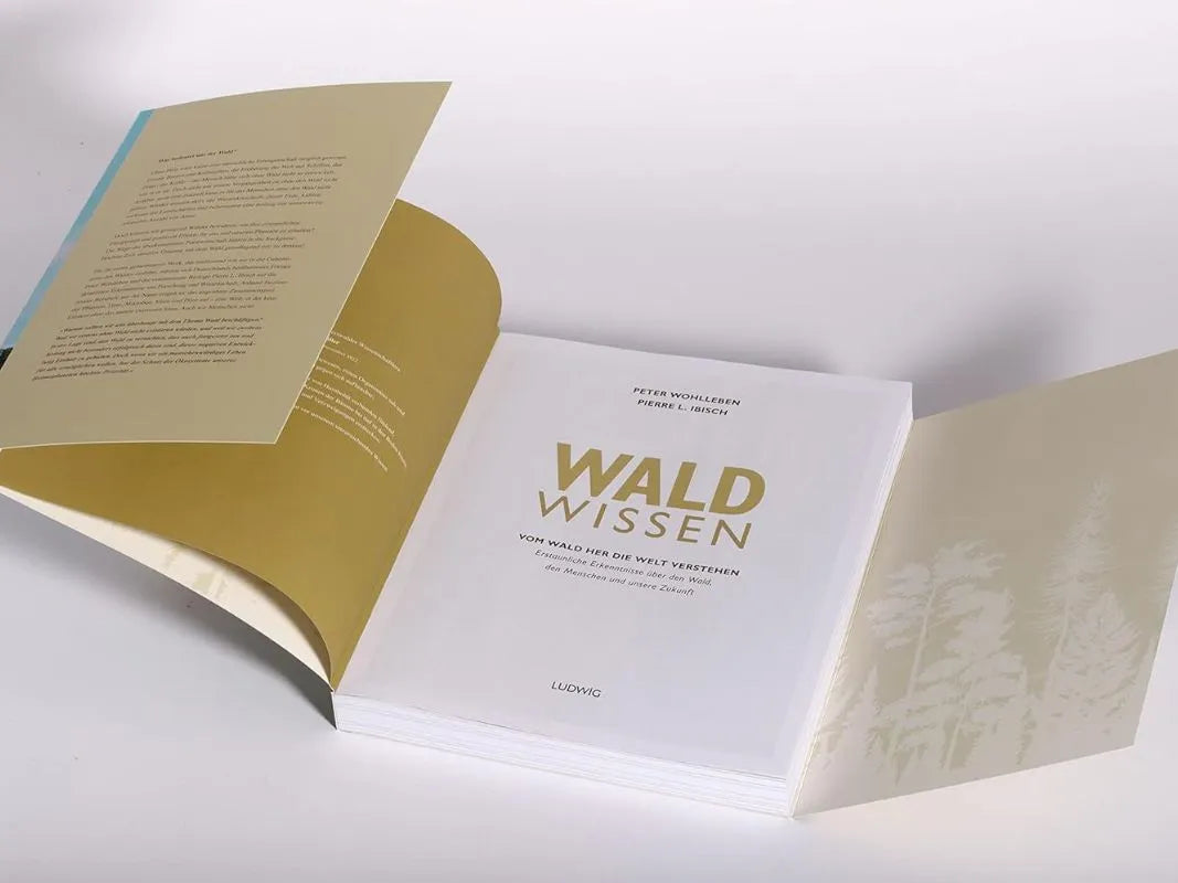Schlagen Sie das Buch "Wald Wissen" von Wohllebens Waldakademie auf. Ausklappbare Seiten mit Text und zarten Baum-Illustrationen laden zu einer Reise in das Ökosystem Wald ein - inspiriert von Peter Wohlleben.