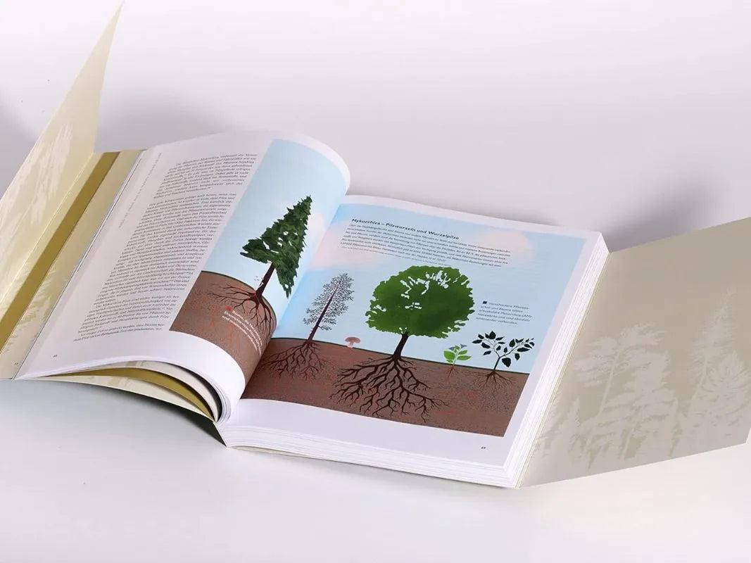 Ein aufgeschlagenes Buch von Wohllebens Waldakademie zeigt Baumillustrationen und Texte, die Wurzeln und Wachstumsstadien im Wald darstellen, inspiriert von Peter Wohllebens Erkenntnissen über Ökosysteme.