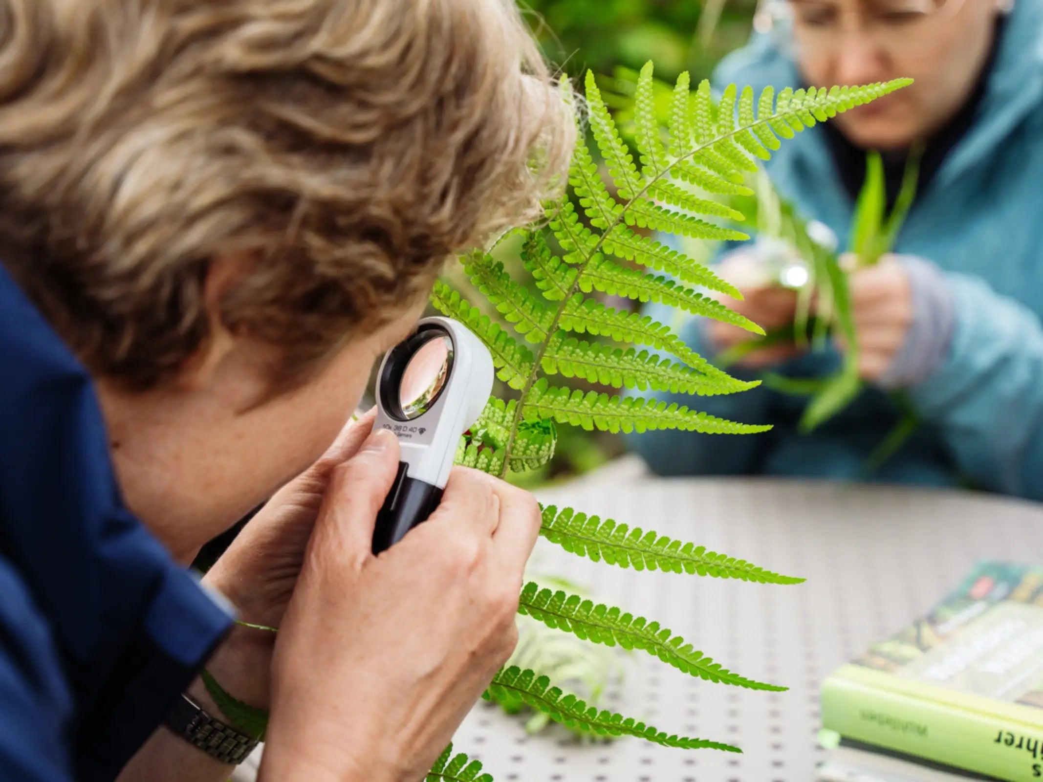 In der Waldakademie Wohllebens untersucht eine Person mit einer Lupe einen Farn und hebt die Biodiversität hervor, während eine andere an einem Tisch im Hintergrund Blätter studiert, die eine nachhaltige Waldbewirtschaftung widerspiegeln.