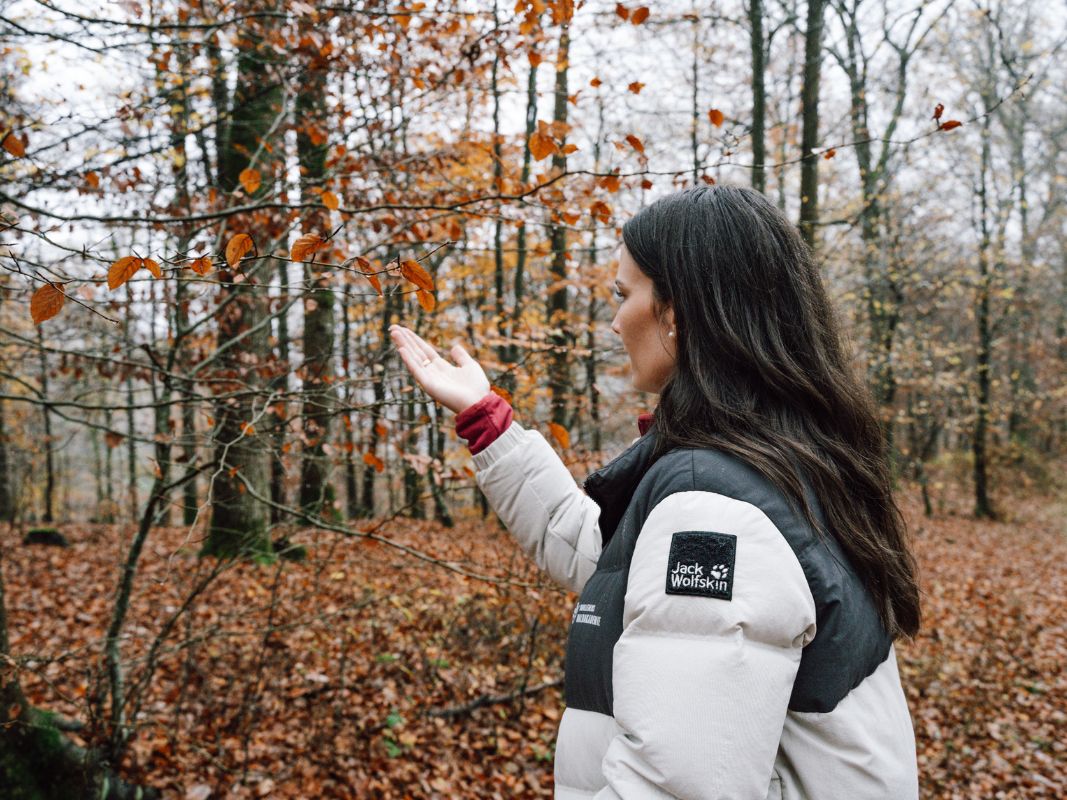 Eine Frau in einem Wald berührt Herbstblätter, sie trägt eine grau-weiße Wohllebens Waldakademie-Jacke - eine inspirierende Szene, die Walderhalt und den Wert nachhaltiger Waldbewirtschaftung widerspiegelt.
