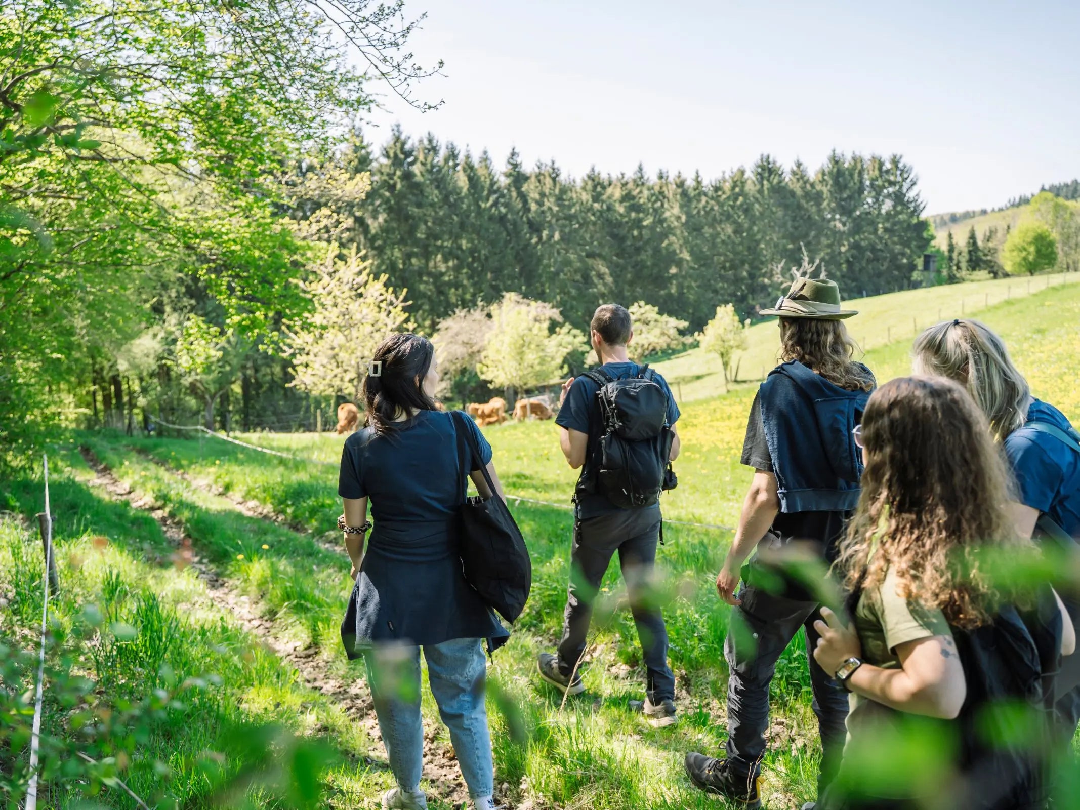 Forest walk & chat with Peter Wohlleben