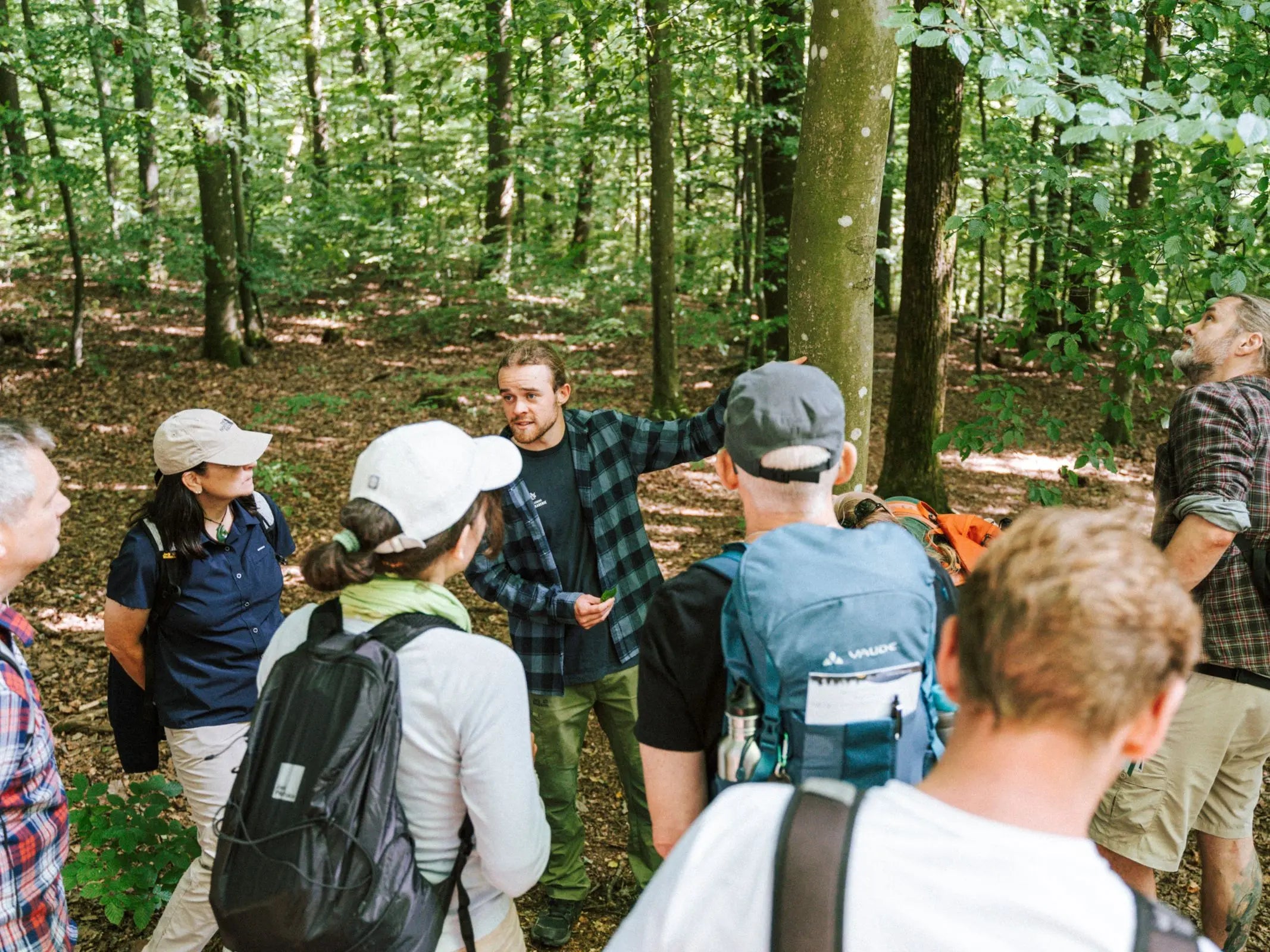 Wanderung zum geheimen Leben der Bäume