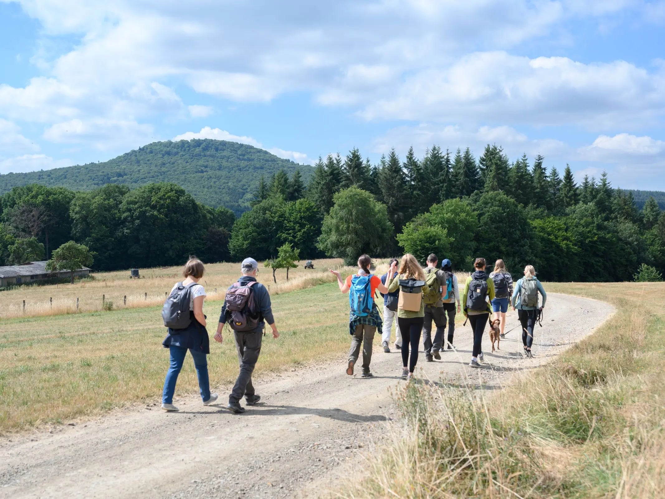 Eine Gruppe mit Rucksäcken wandert auf einem Pfad in den Eifelwäldern, begierig darauf, die erstaunlichen Fähigkeiten der Bäume und die Waldkunde mit Wohllebens Waldakademie zu entdecken.