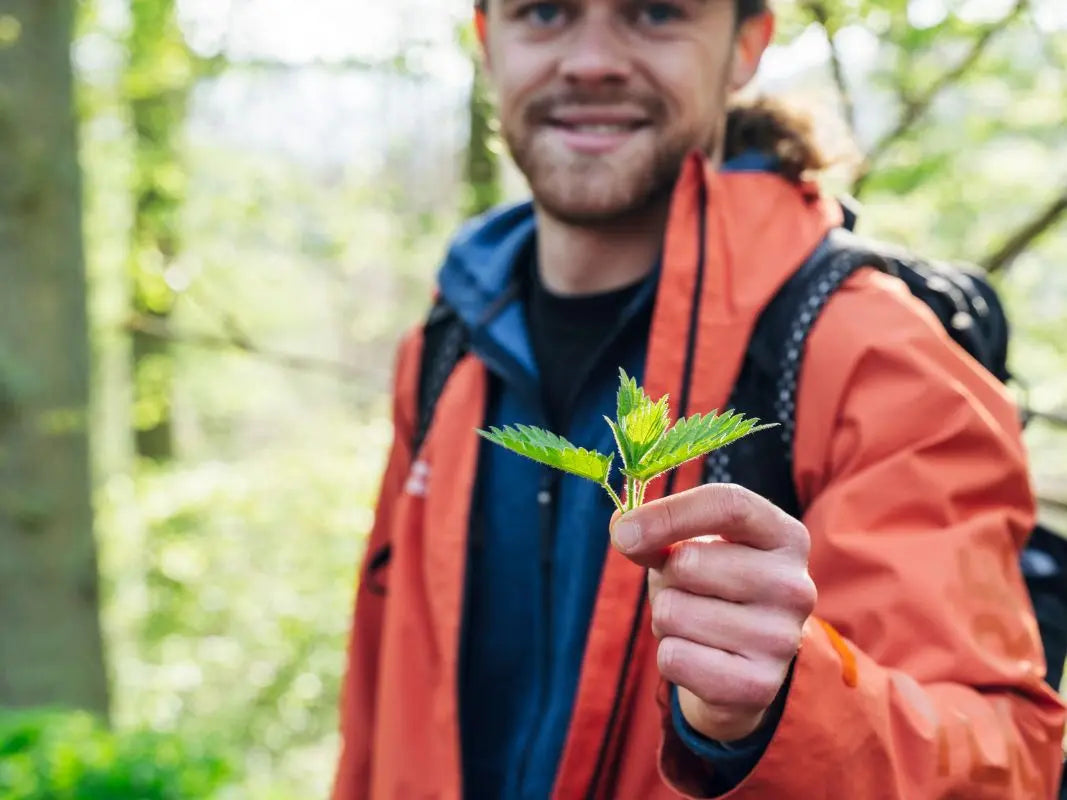 Während eines Kräuterspaziergangs mit Wohllebens Waldakademie hält eine Person in einer orangefarbenen Jacke eine grüne Blattpflanze inmitten der üppigen Wälder der Eifel.