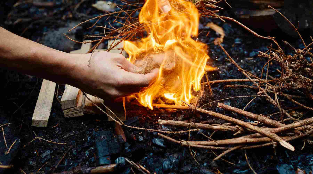 Firewood is climate-neutral? This doesn't add up!