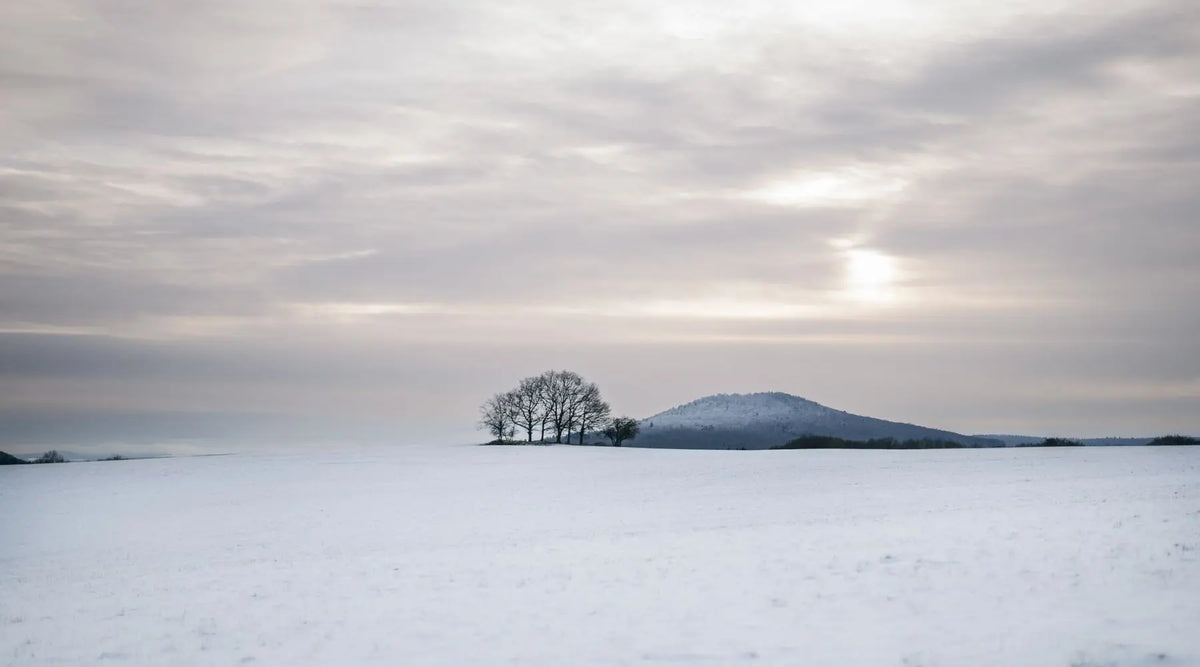 🌲 Eifel im Herbst & Winter: Faszination Winterwald erleben