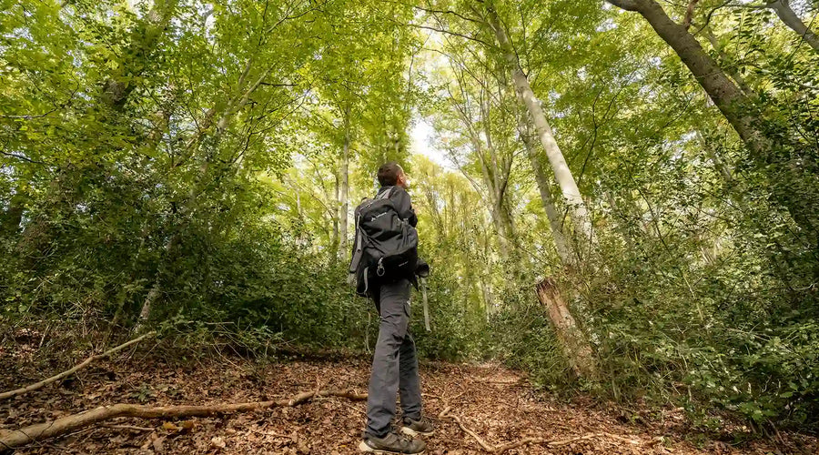 Neue UrwaldProjekt-Fläche im Bergischen Land