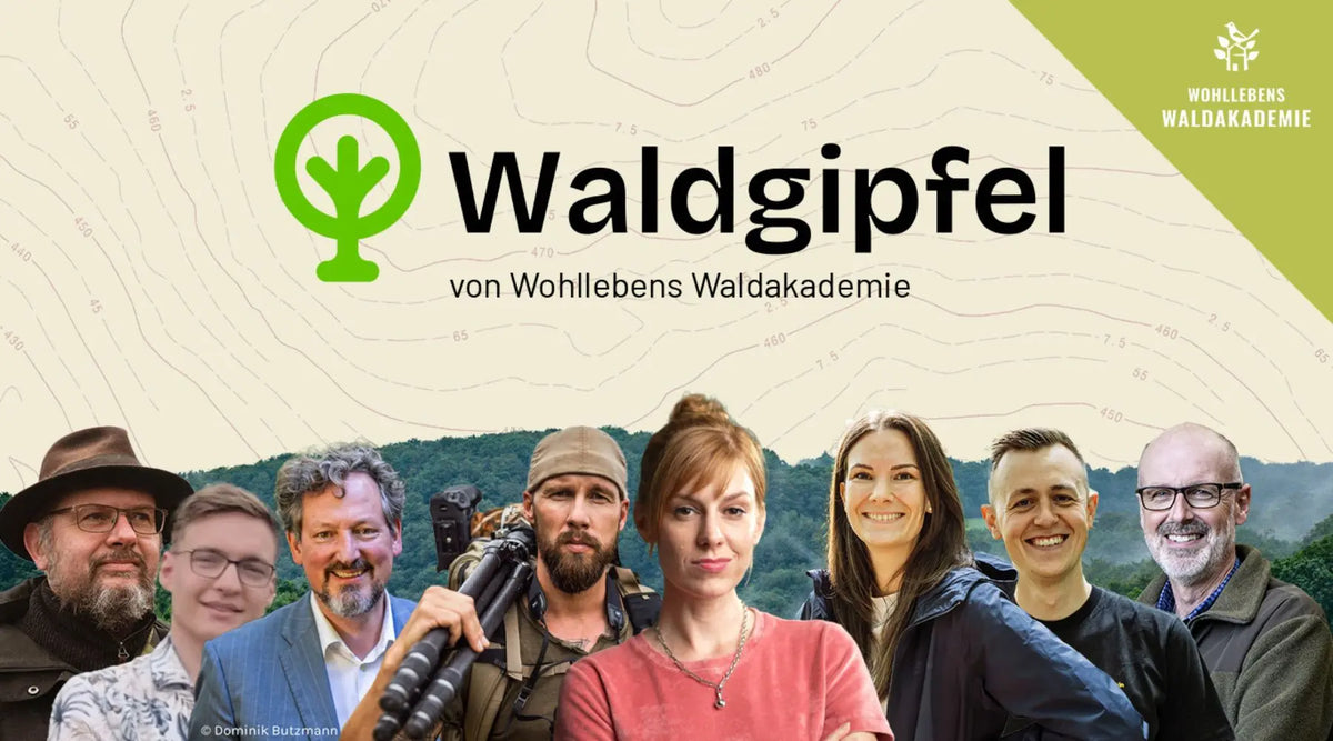 WaldZukunftsGipfel 2025 - Gemeinsam für eine lebenswerte Zukunft!