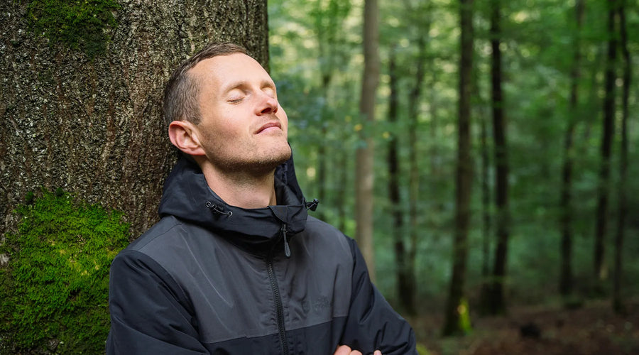 Den Wald mit allen Sinnen erlebbar machen