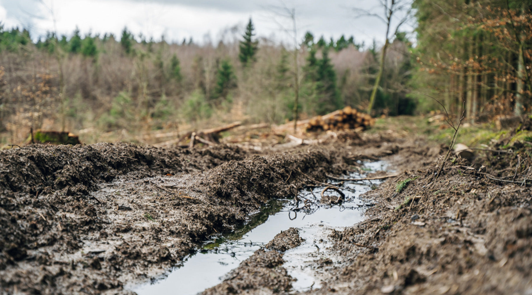 Ärgernis zerstörte Waldwege
