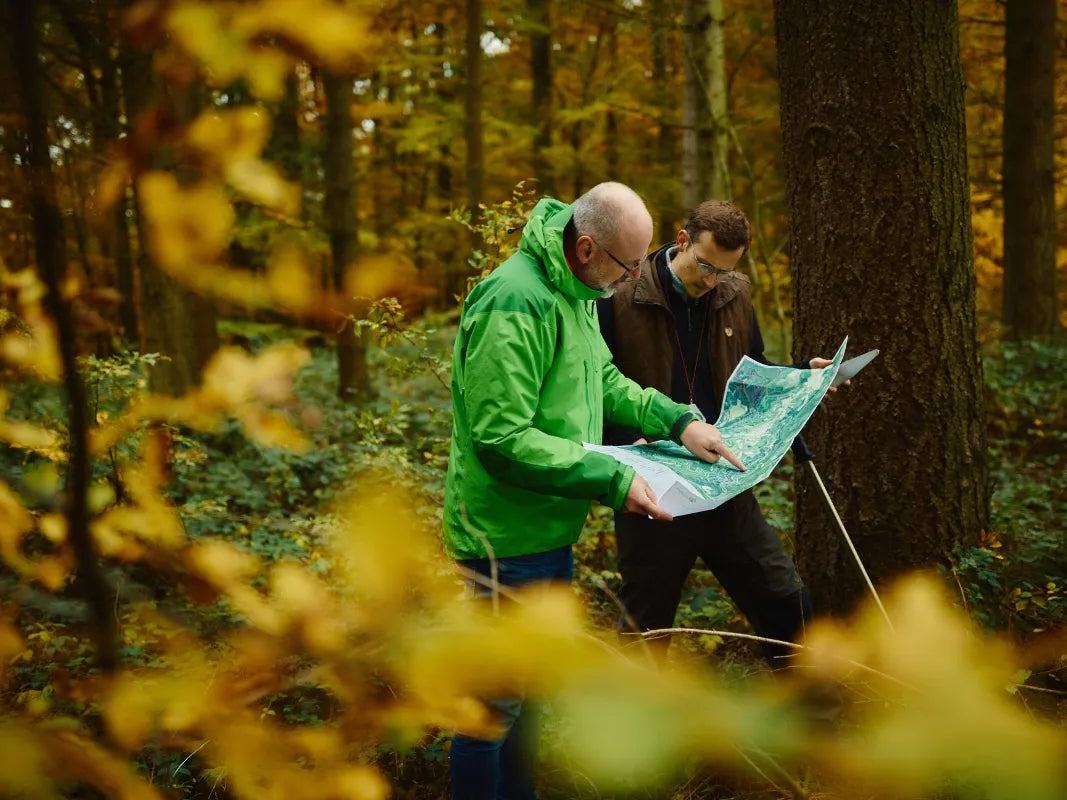 Waldbewirtschaftung