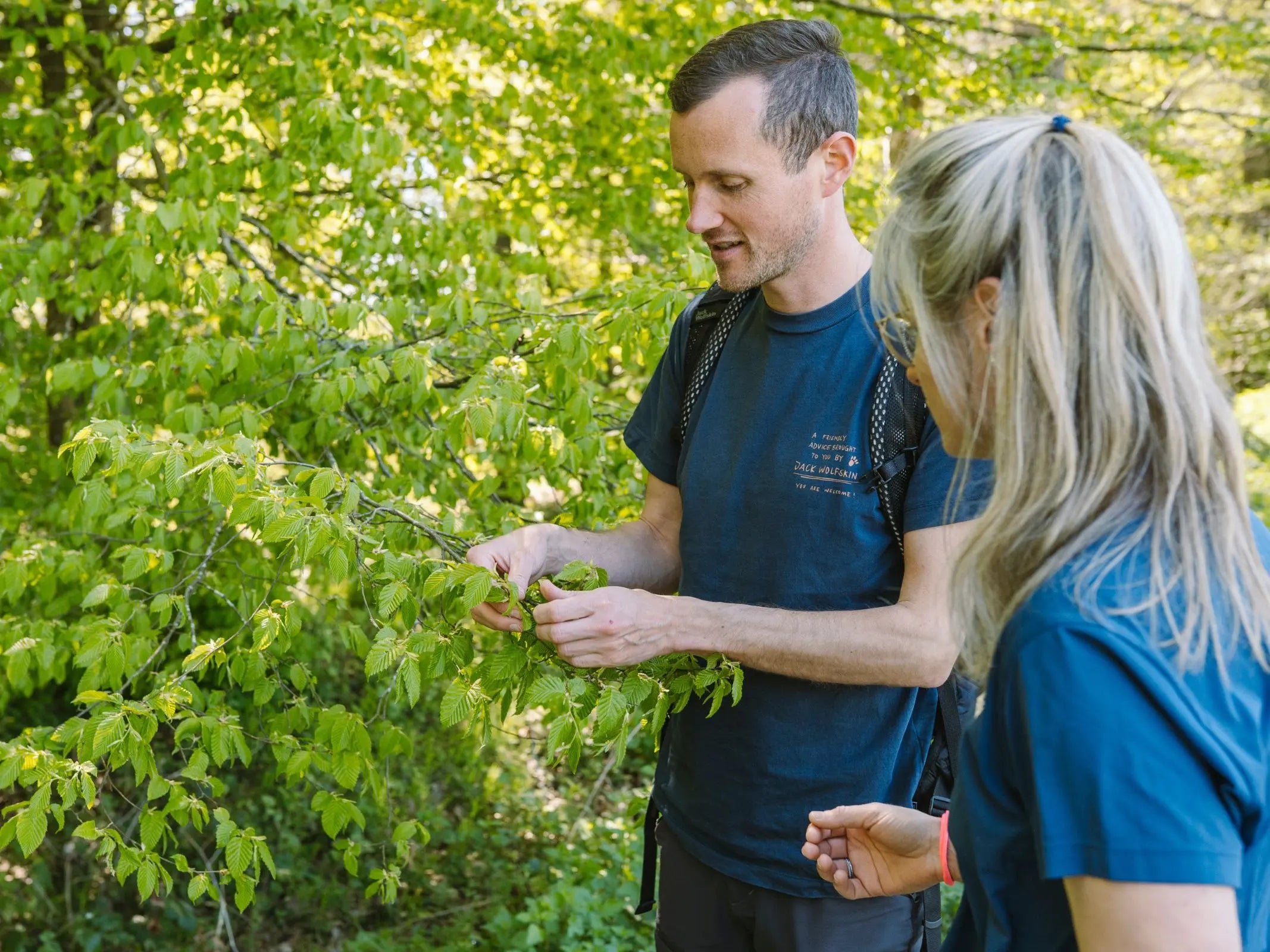 Baumbestimmung kompakt - Bäume lesen lernen - 3-tägig
