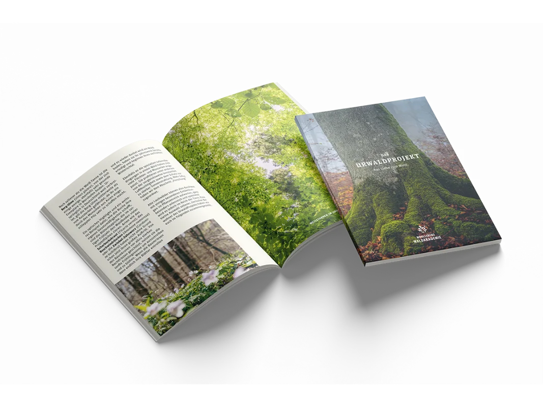 Booklet Jungle Project