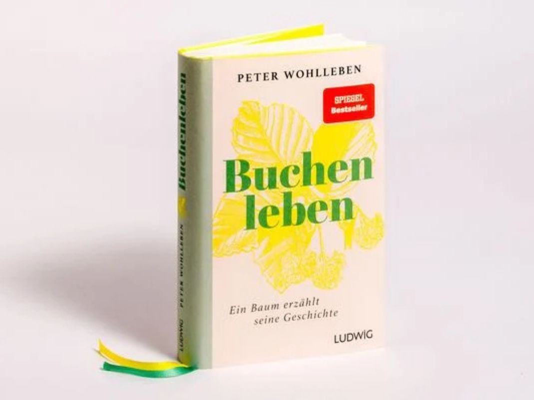 Buchenleben – Ein Baum erzählt seine Geschichte