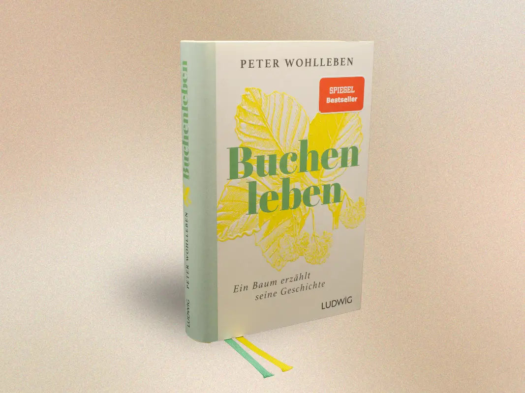 Buchenleben – Ein Baum erzählt seine Geschichte