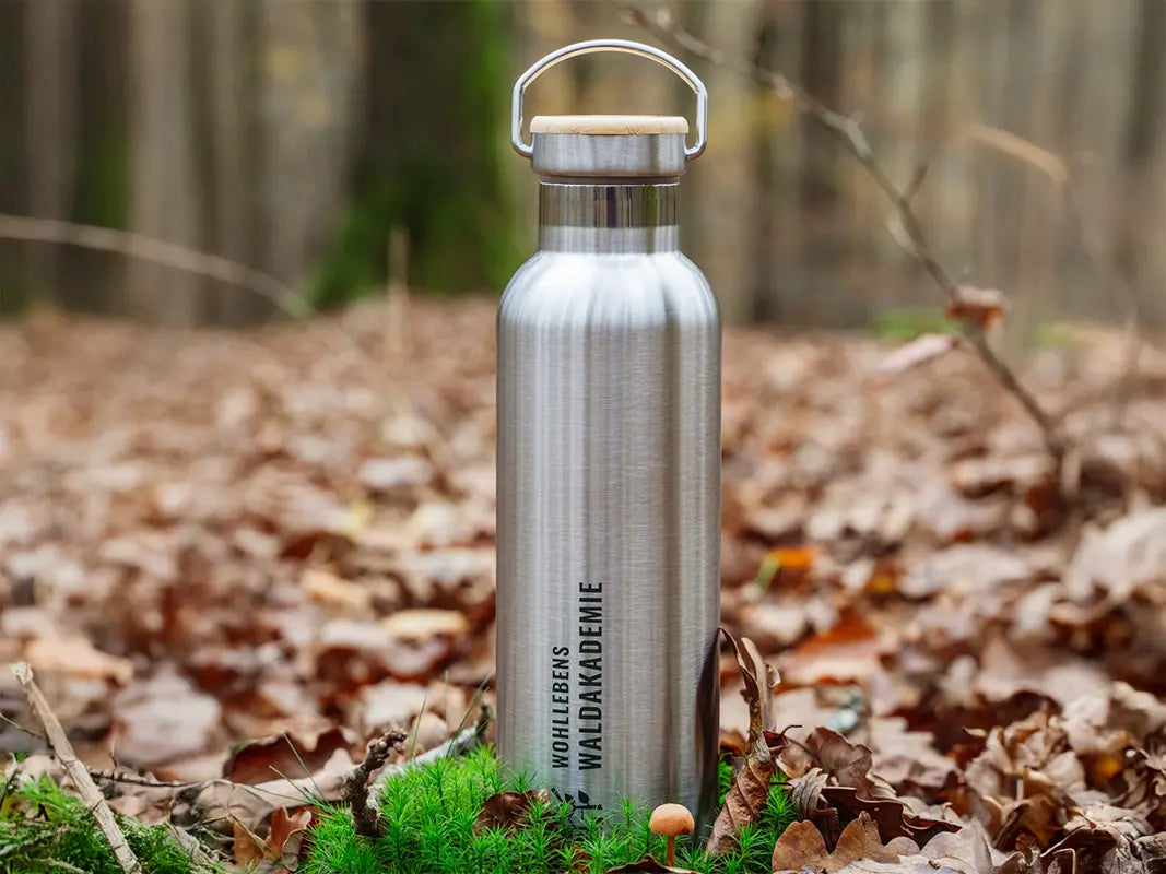 Stainless steel insulated bottle 750 ml