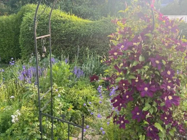 Gartenblick