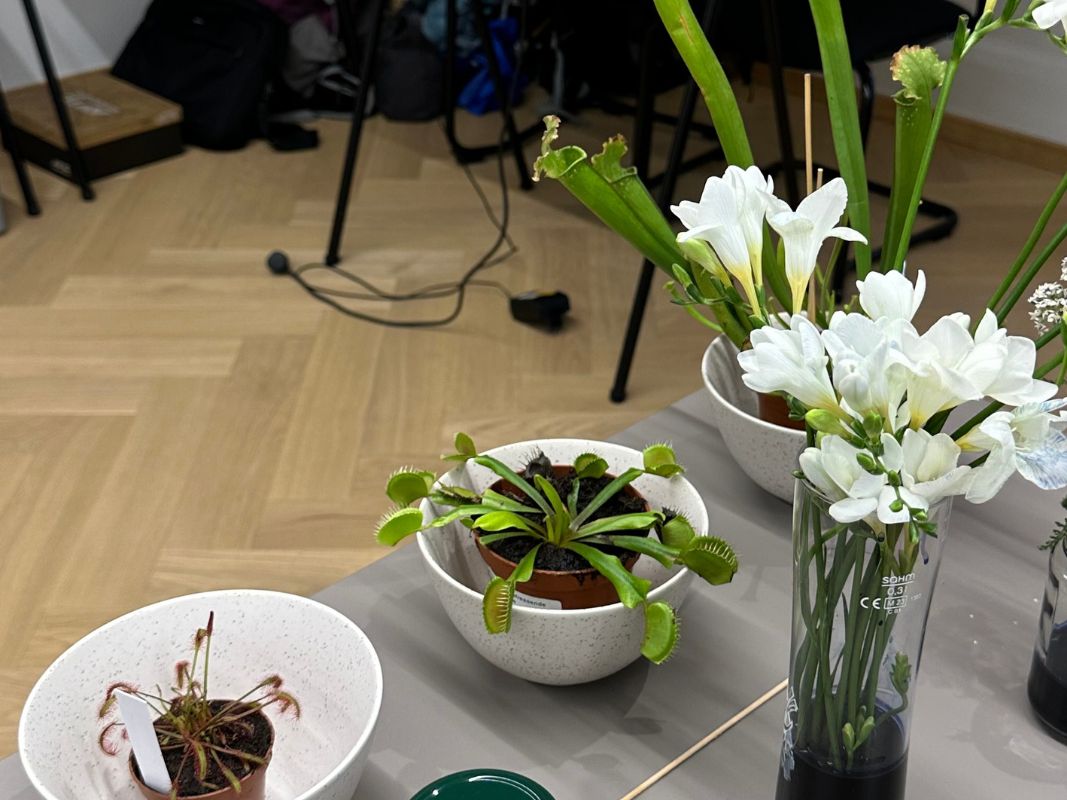 Green Magic: The Incredible Abilities of Plants - 3 days