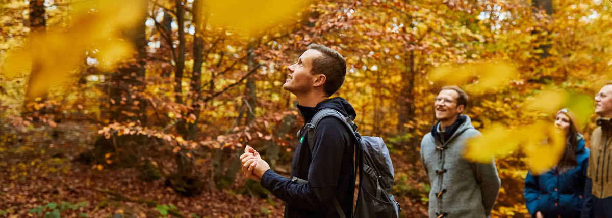 Team bei einer geführten Wanderung im herbstlichen Buchenwald der Eifel