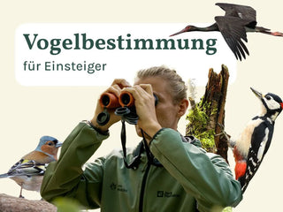 Gewähltes Ticket-Motiv