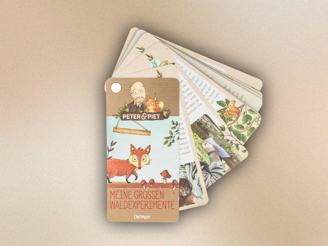 Peter & Piet. Meine großen Waldexperimente