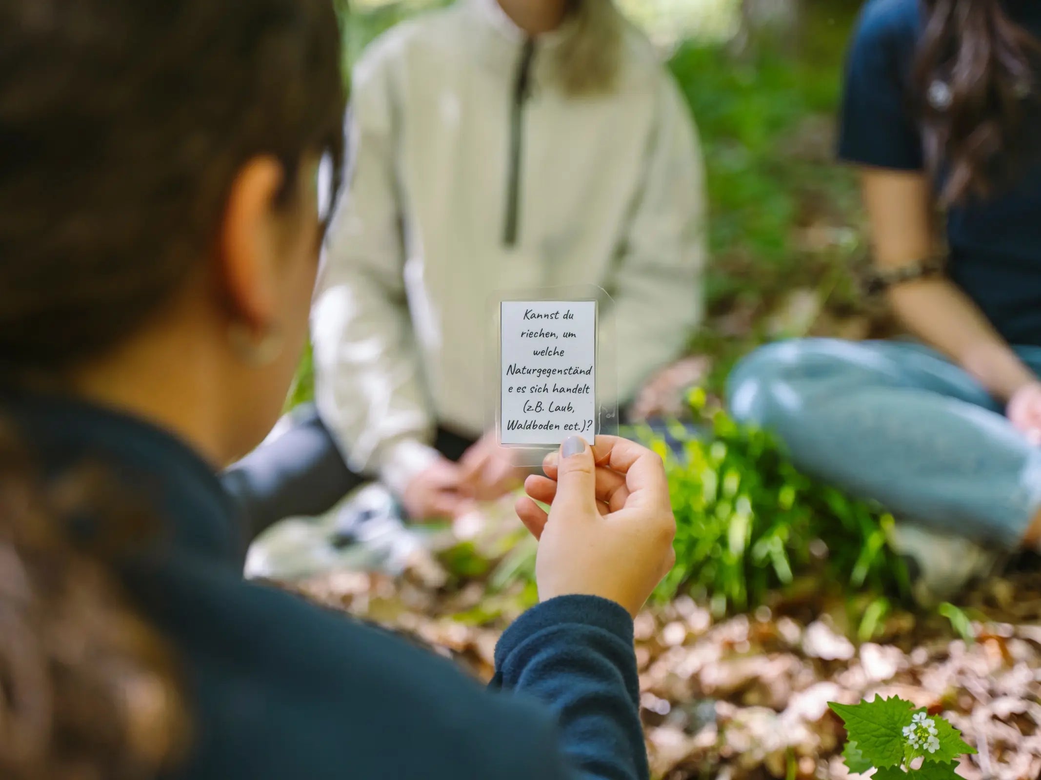 Naturpädagogik im grünen Klassenzimmer - 3-tägig