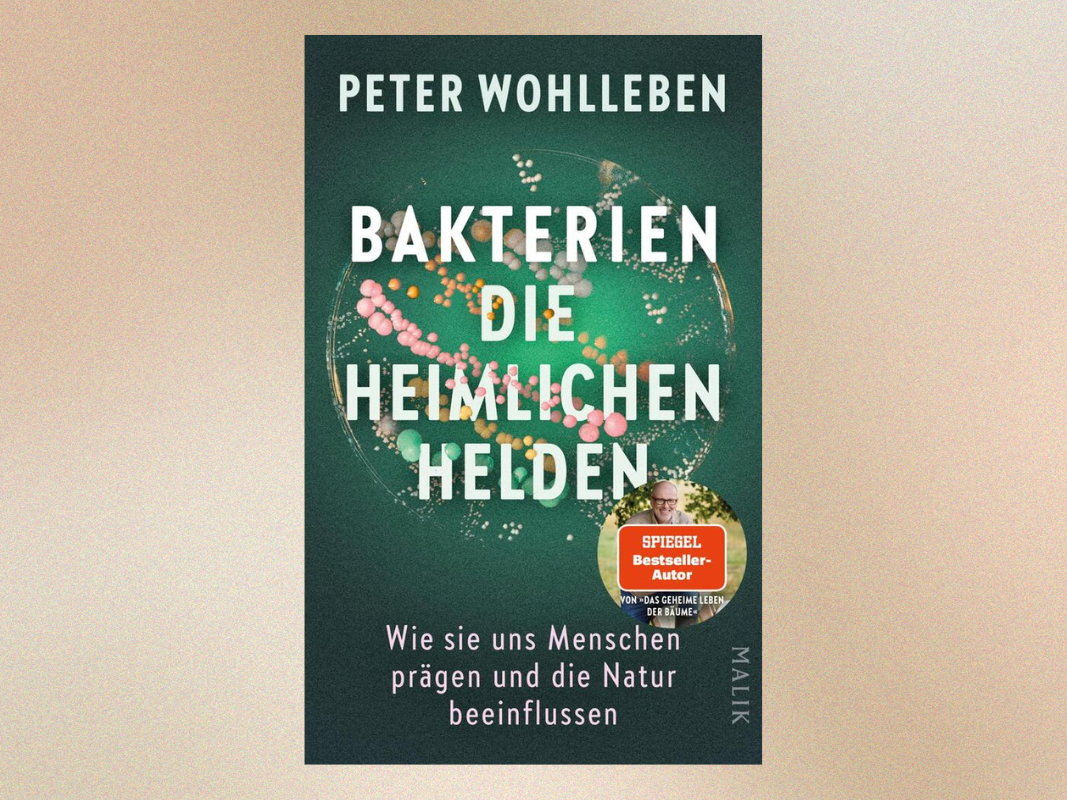 Bakterien – die heimlichen Helden
