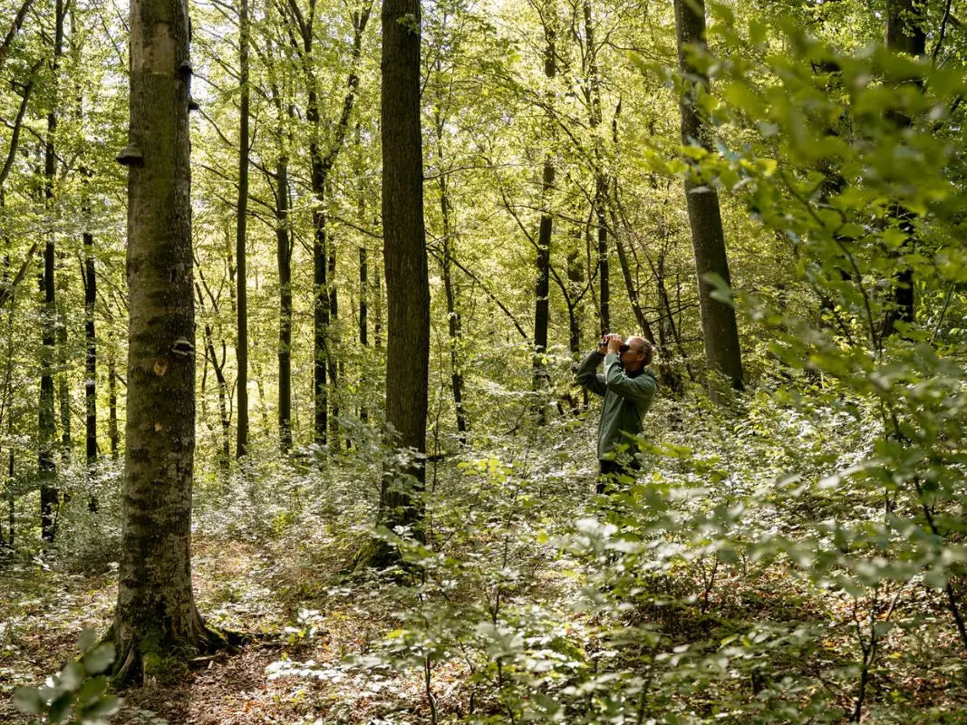 Bird identification for beginners: One-day course in the Eifel