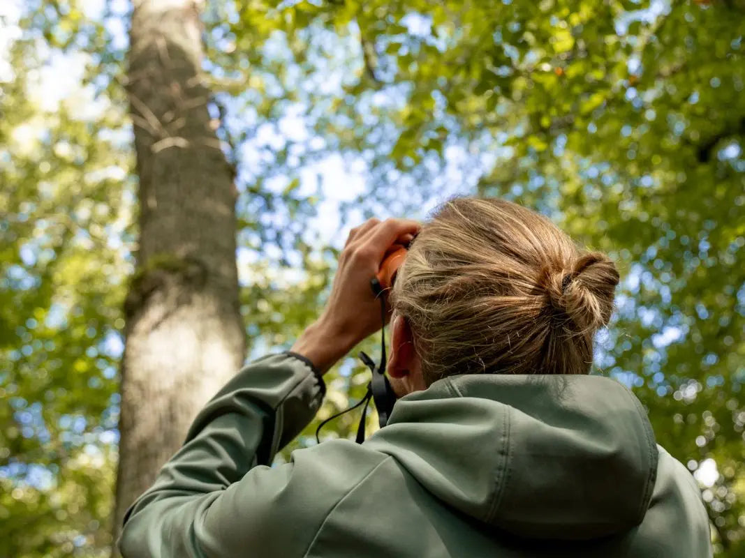 Die faszinierende Welt der Vögel - 3-tägig