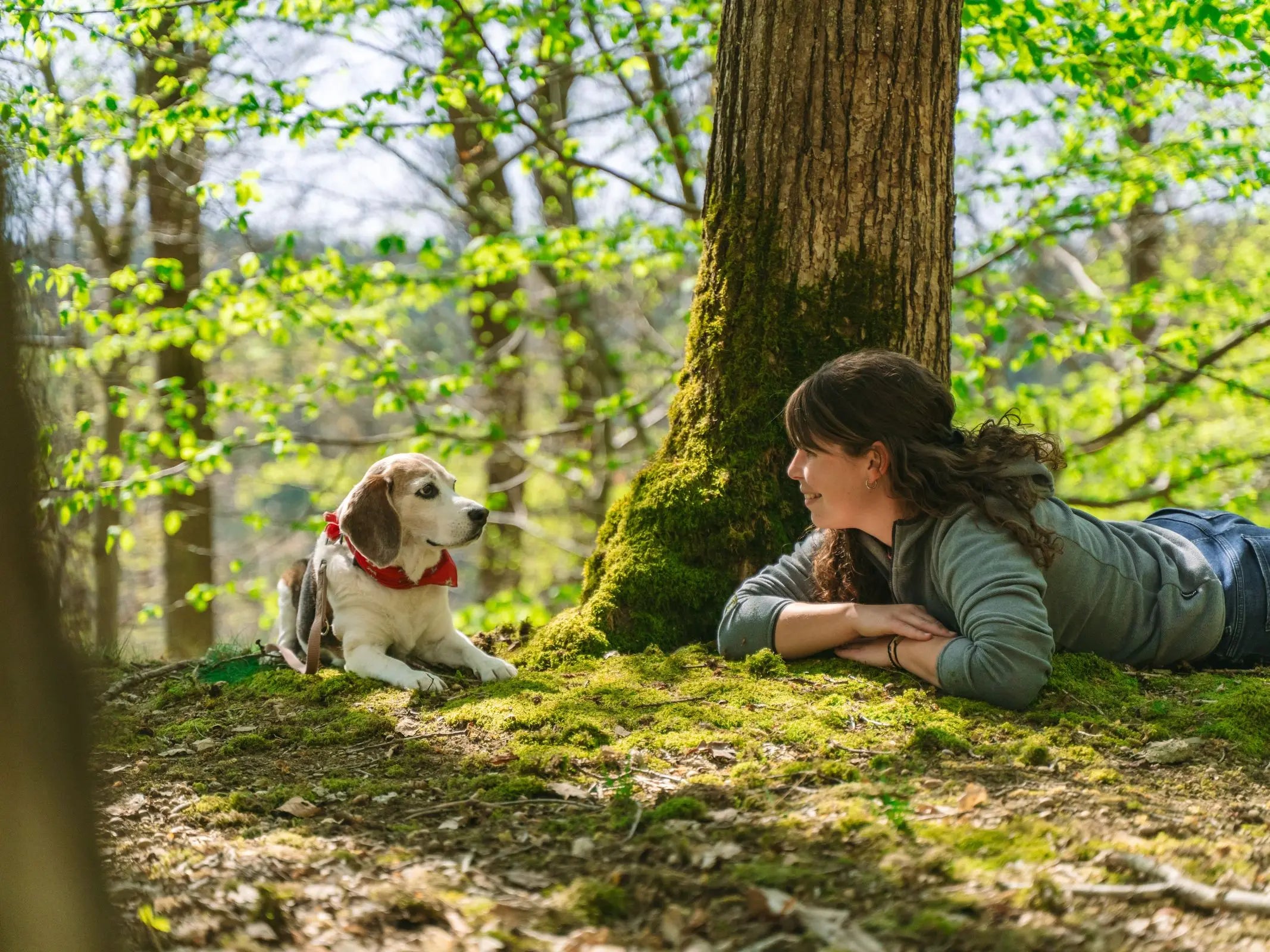 Waldbaden mit Hund