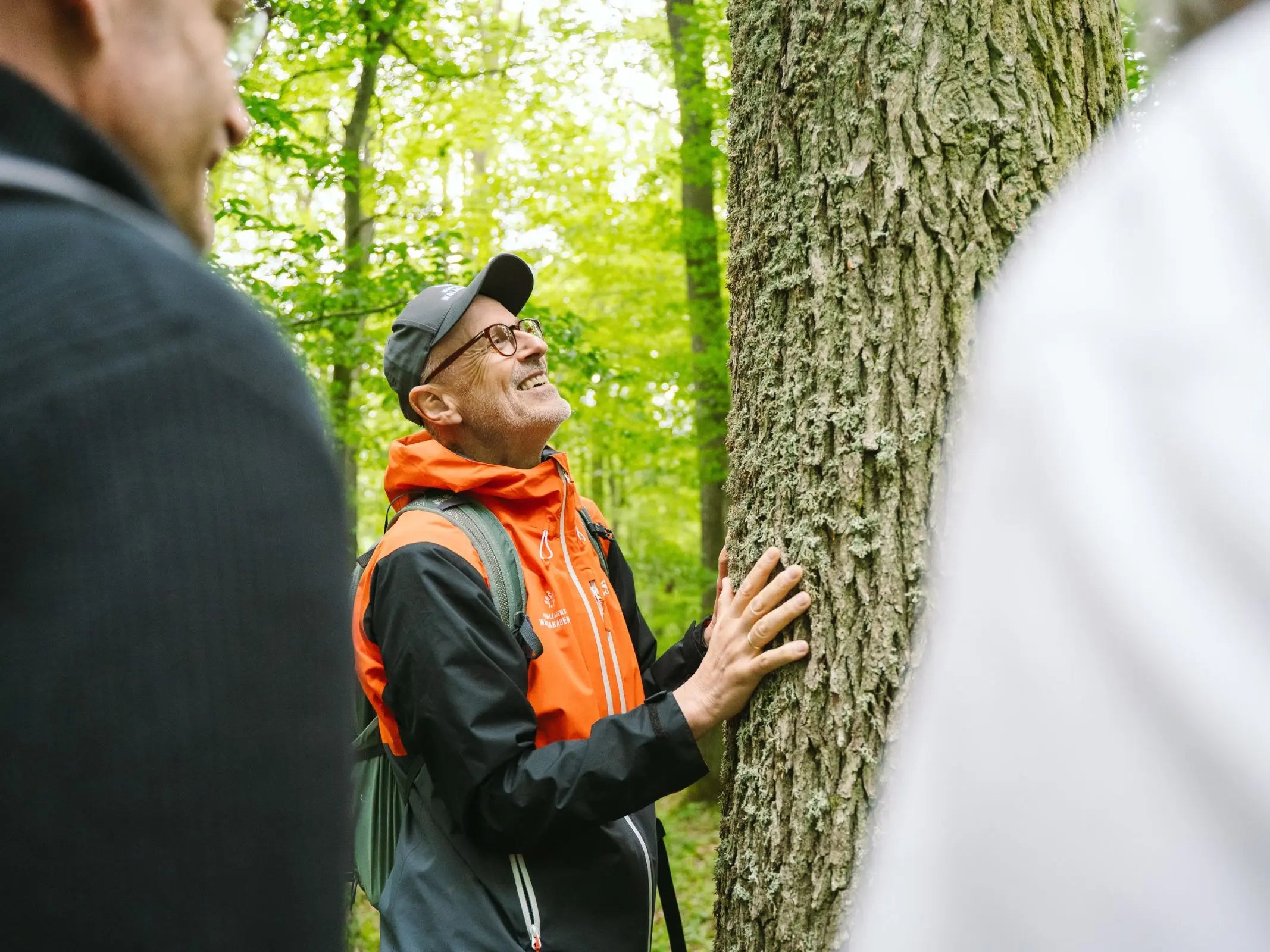 Der Waldcode – den Wald lesen lernen mit Peter Wohlleben