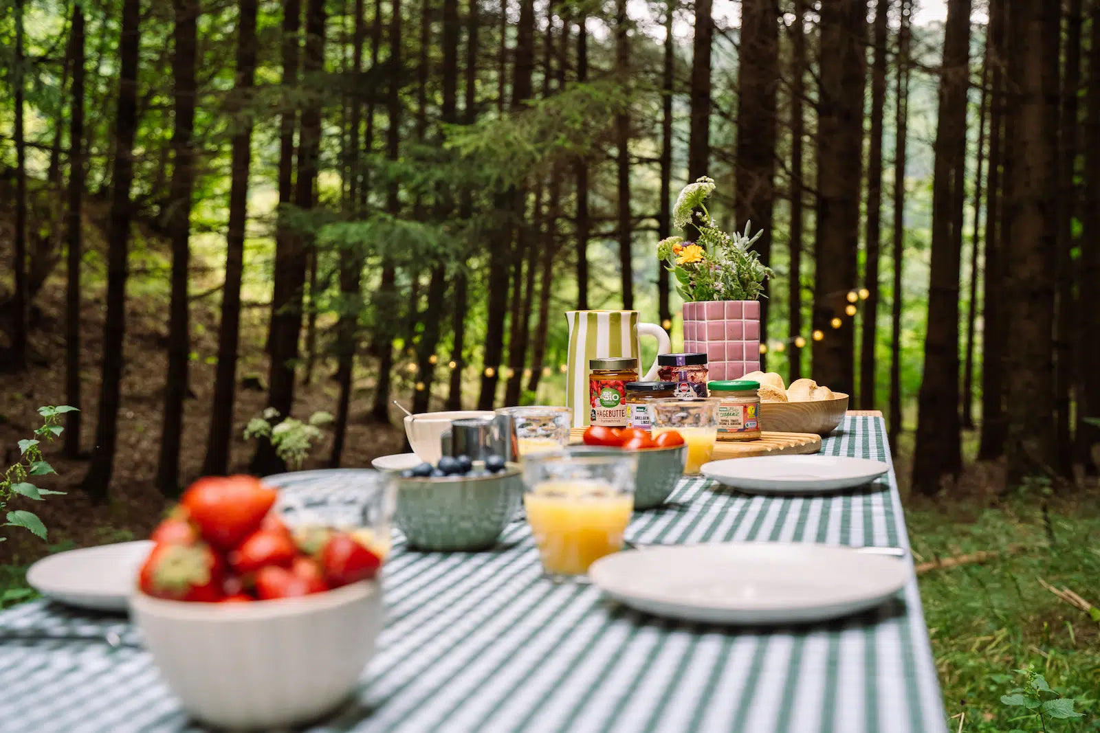 Waldfrühstück – Dein exklusives Walderlebnis