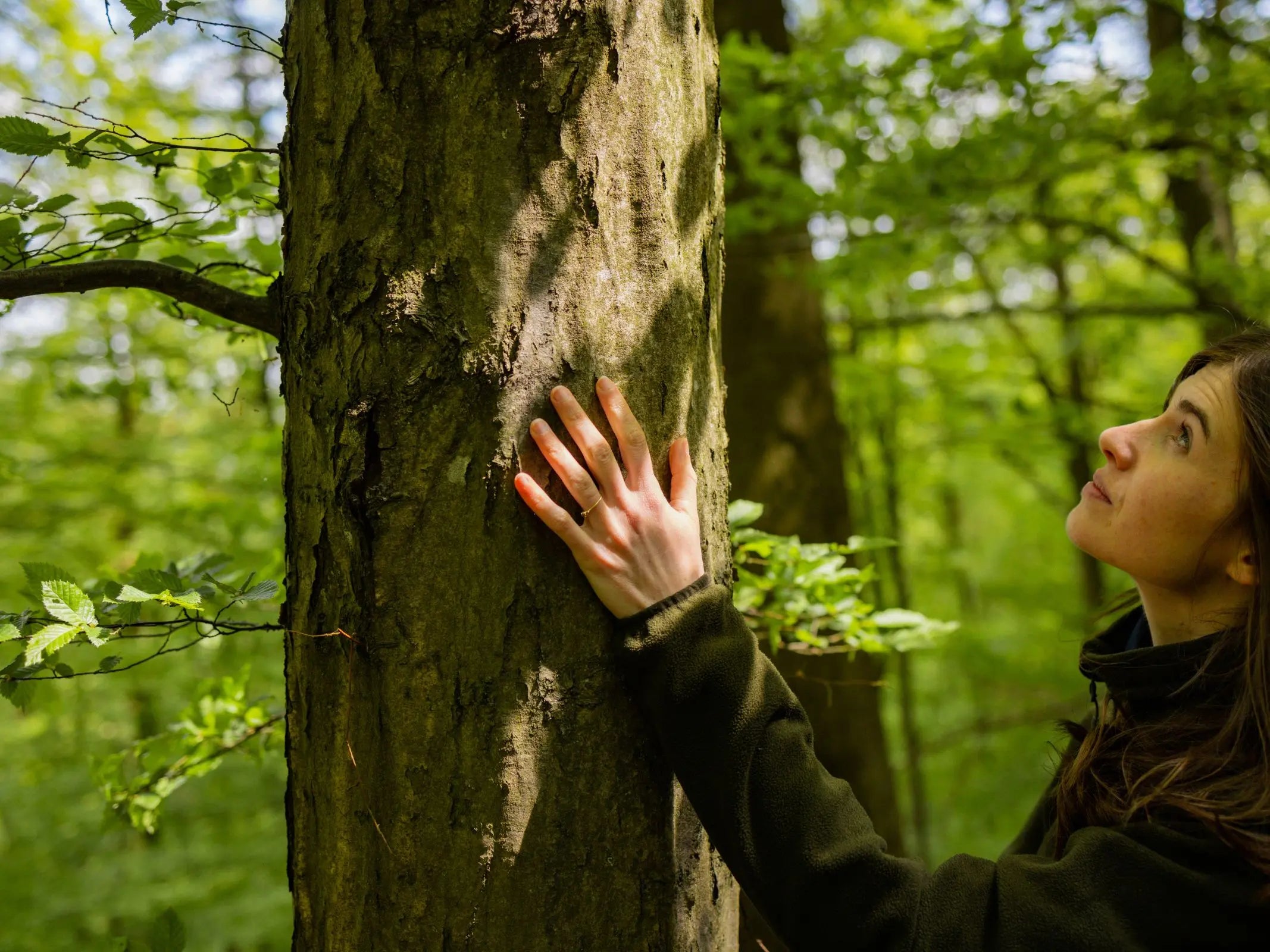 Waldwanderung mit allen Sinnen