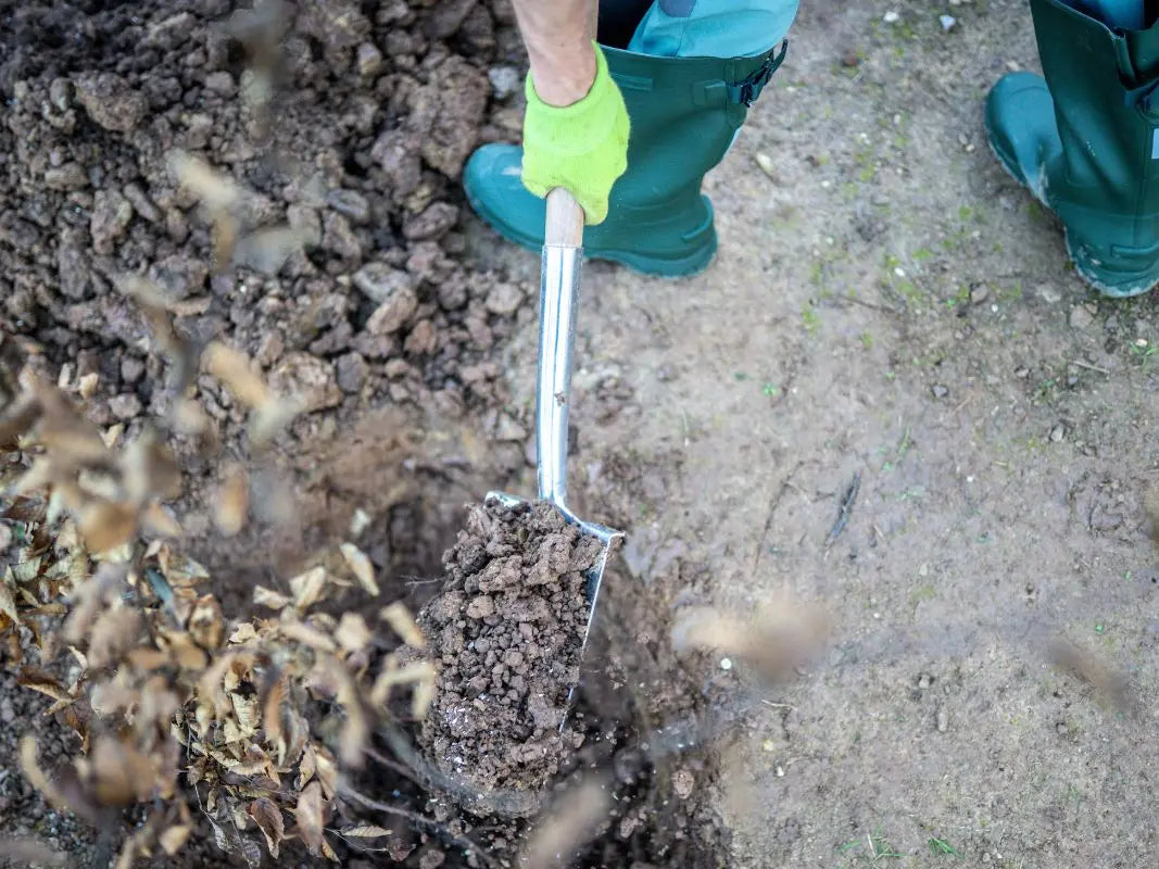 Forest Transition: How do we save the forest? - 3 days