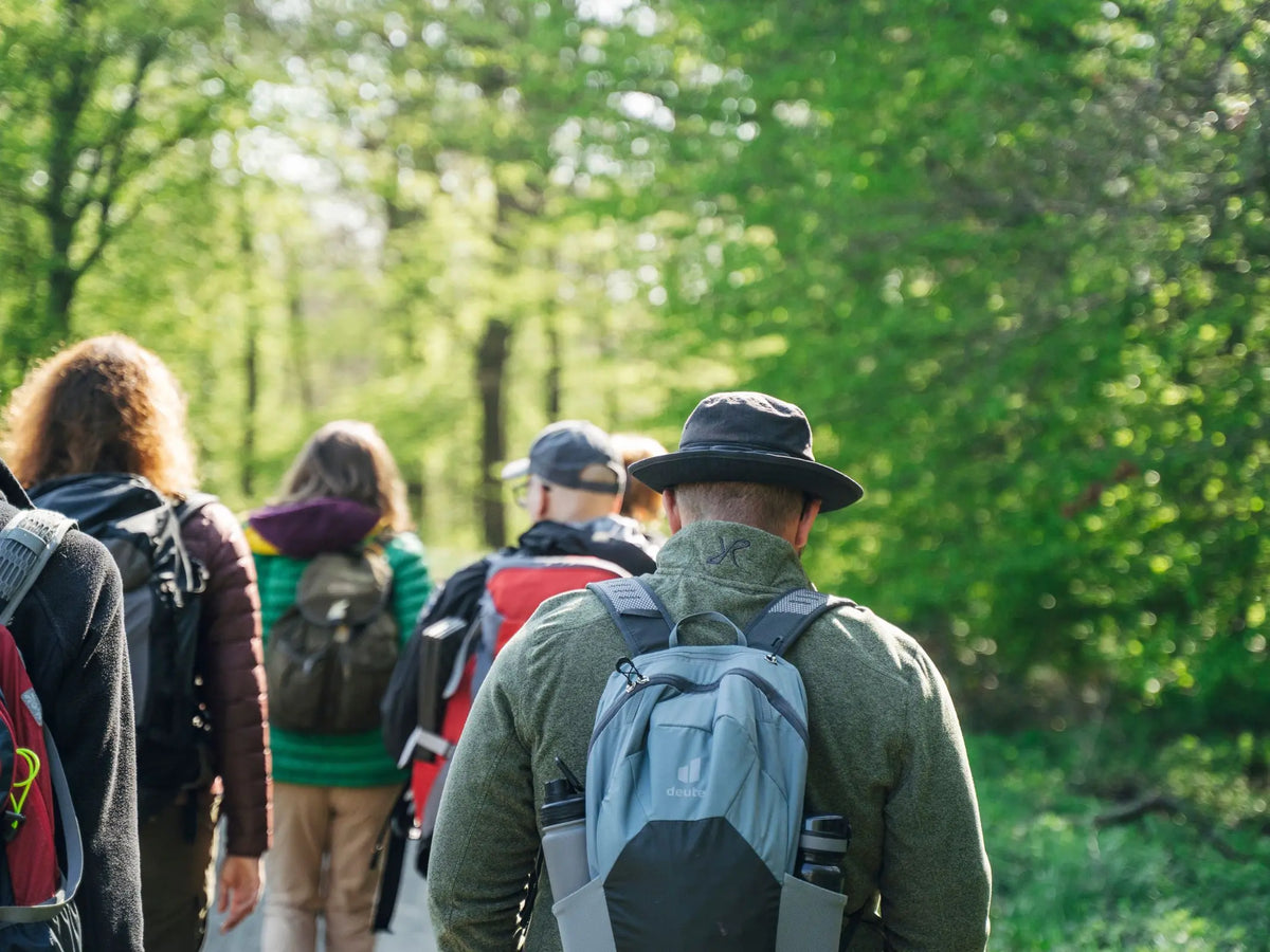 Gruppe bei einer geführten Wanderung durch den grünen Buchenwald